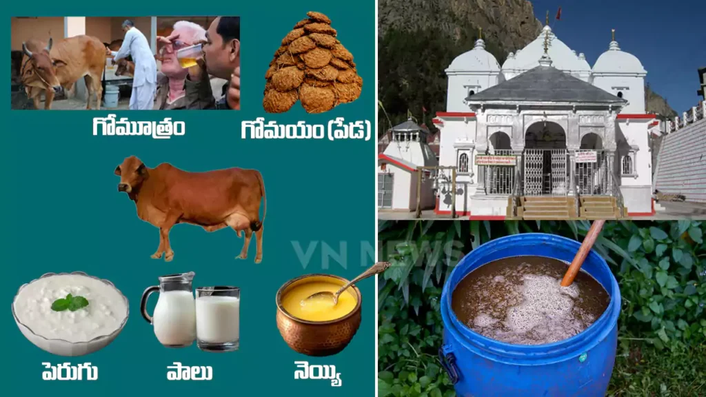 New Rule in Char Dham Yatra Panchgavya Consumption Mandatory for Entry at Gangotri Temple