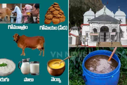 New Rule in Char Dham Yatra Panchgavya Consumption Mandatory for Entry at Gangotri Temple