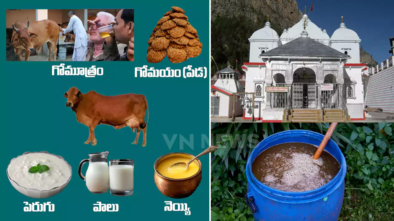 New Rule in Char Dham Yatra Panchgavya Consumption Mandatory for Entry at Gangotri Temple