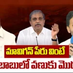 Amaravati Won’t Be Completed Even in 40 Years, Mavignan Can Deliver Capital Overnight: Sajjala Fires at Chandrababu