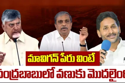 Amaravati Won’t Be Completed Even in 40 Years, Mavignan Can Deliver Capital Overnight: Sajjala Fires at Chandrababu